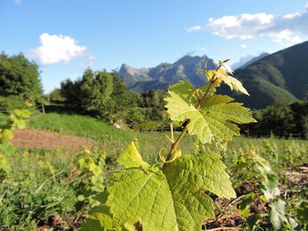 Rifugio Alpi Apuane 호텔 Careggine 외부 사진