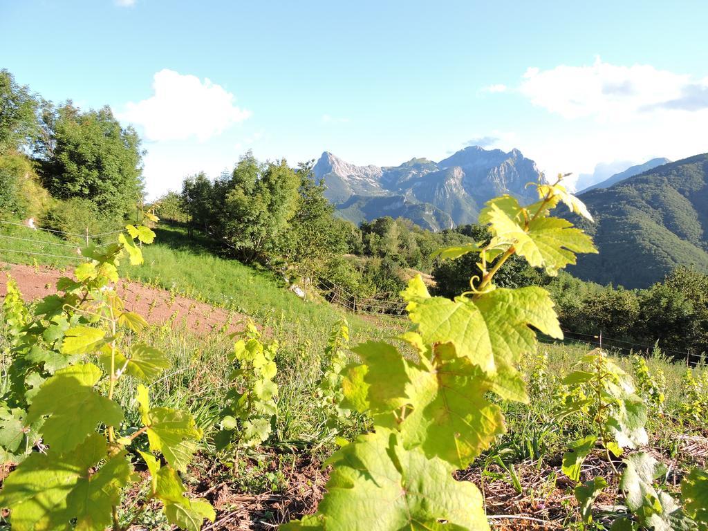 Rifugio Alpi Apuane 호텔 Careggine 외부 사진